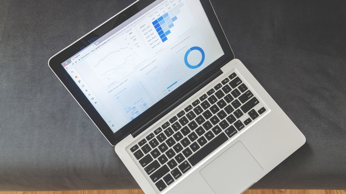 SEO analytics dashboard showing website authority and ranking metrics