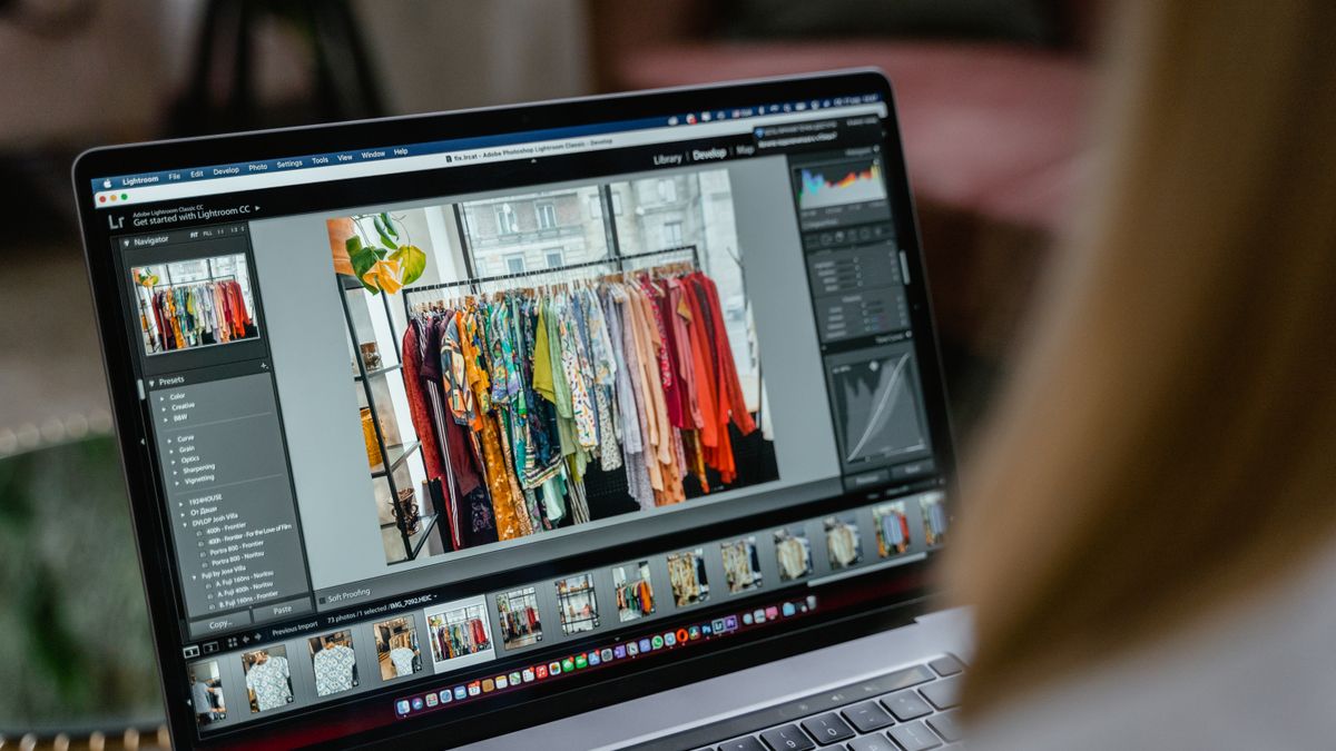 An image being scaled with dimension handles